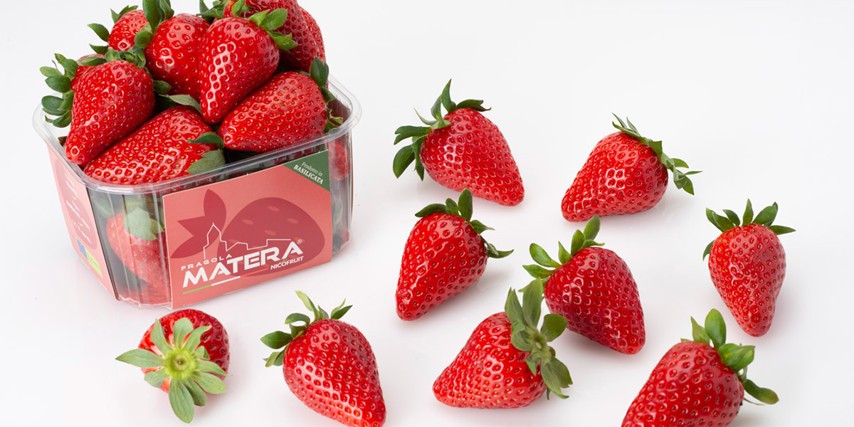 Fragola Matera®, il frutto che piace ai consumatori e convince la Gdo